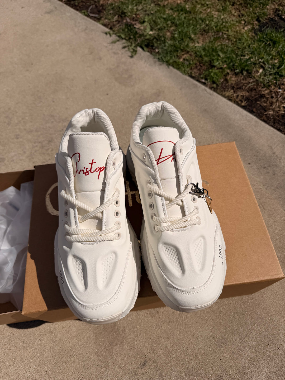 C Prince Avalanche 1/5