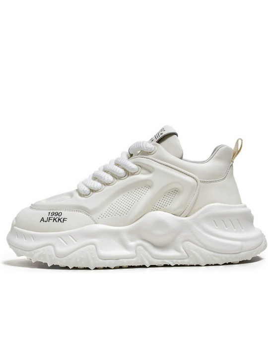 C Prince Avalanche 1/5